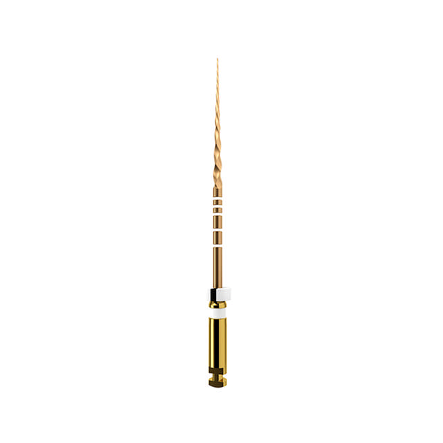 ProTaper GOLD 21 mm S2, 6 stk.