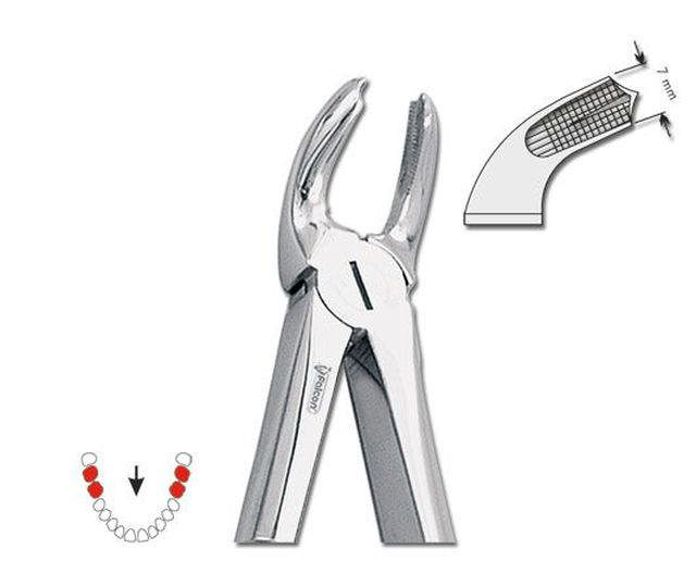 Ekstraktionstang nr. 21, molar UK