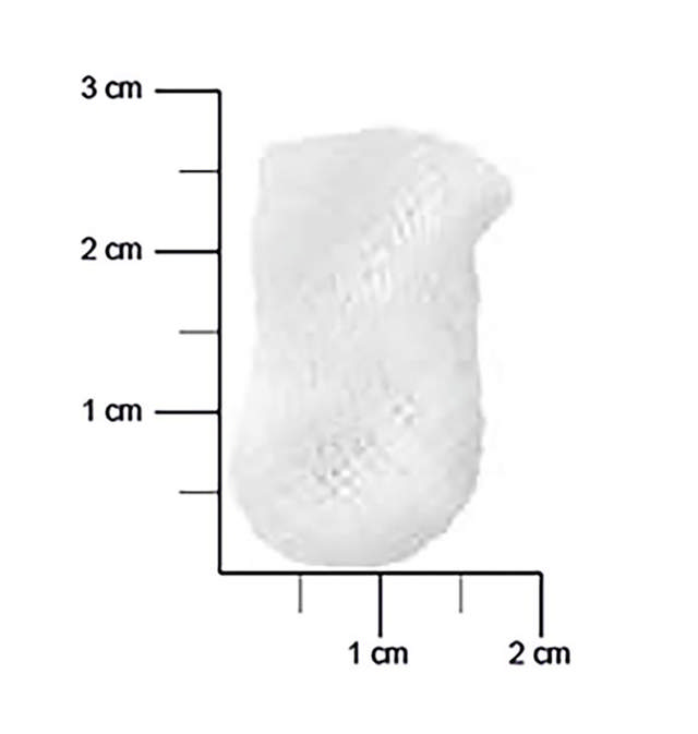 M+W Select gazetamponer, Str. 2 hasselnød, 500 stk.