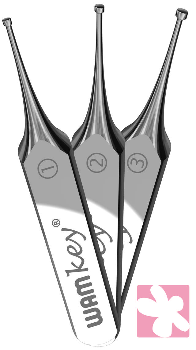 WAMkey , Nøgle nr. 1 (lille), 1 stk.